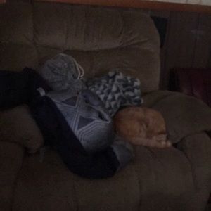 Meet your Posher, Joseph